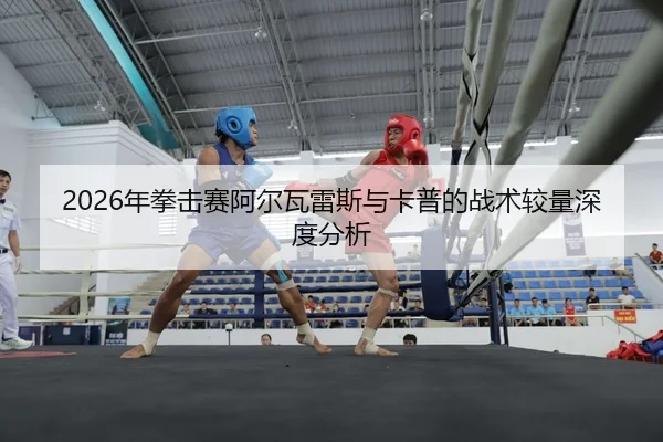 nian-quan-ji-sai-a-er-wa-lei-si-yu-ka-pu-de-zhan-shu-jiao-liang-shen-du-fen-xi-2-235.jpg