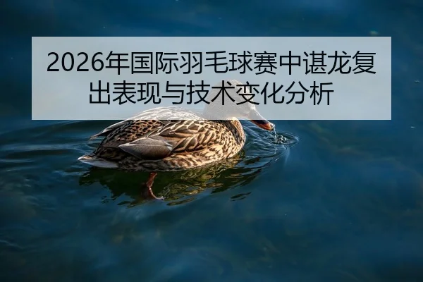 2026年国际羽毛球赛中谌龙复出表现与技术变化分析
