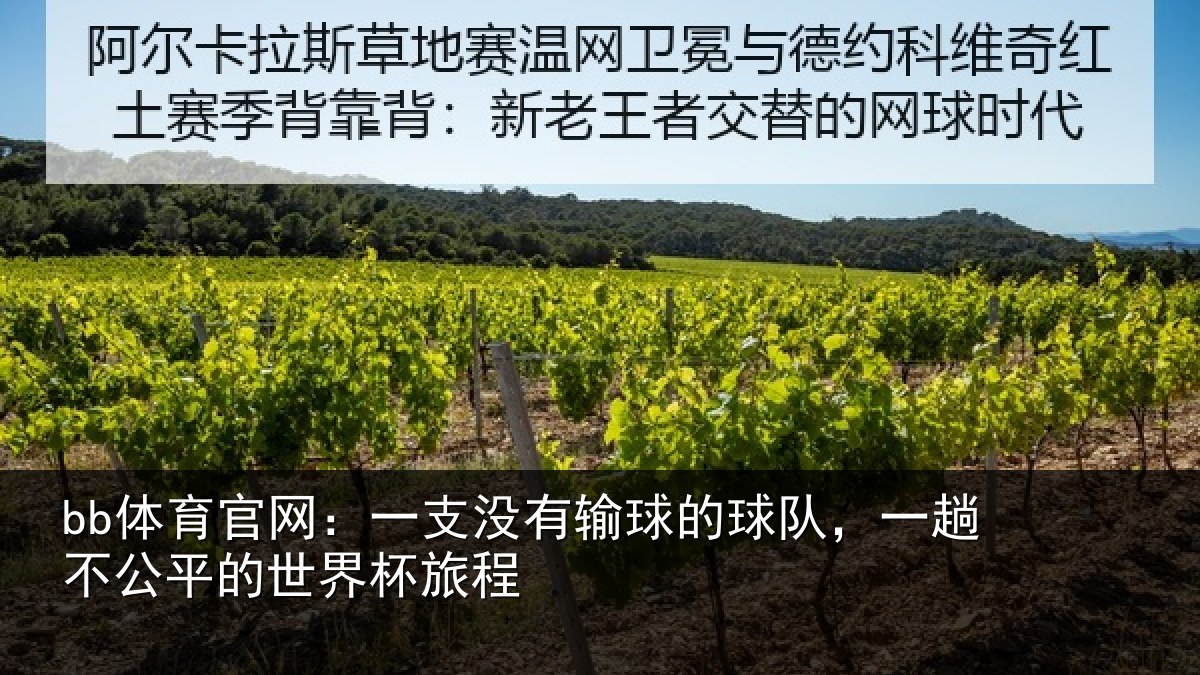 bb体育官网：一支没有输球的球队，一趟不公平的世界杯旅程